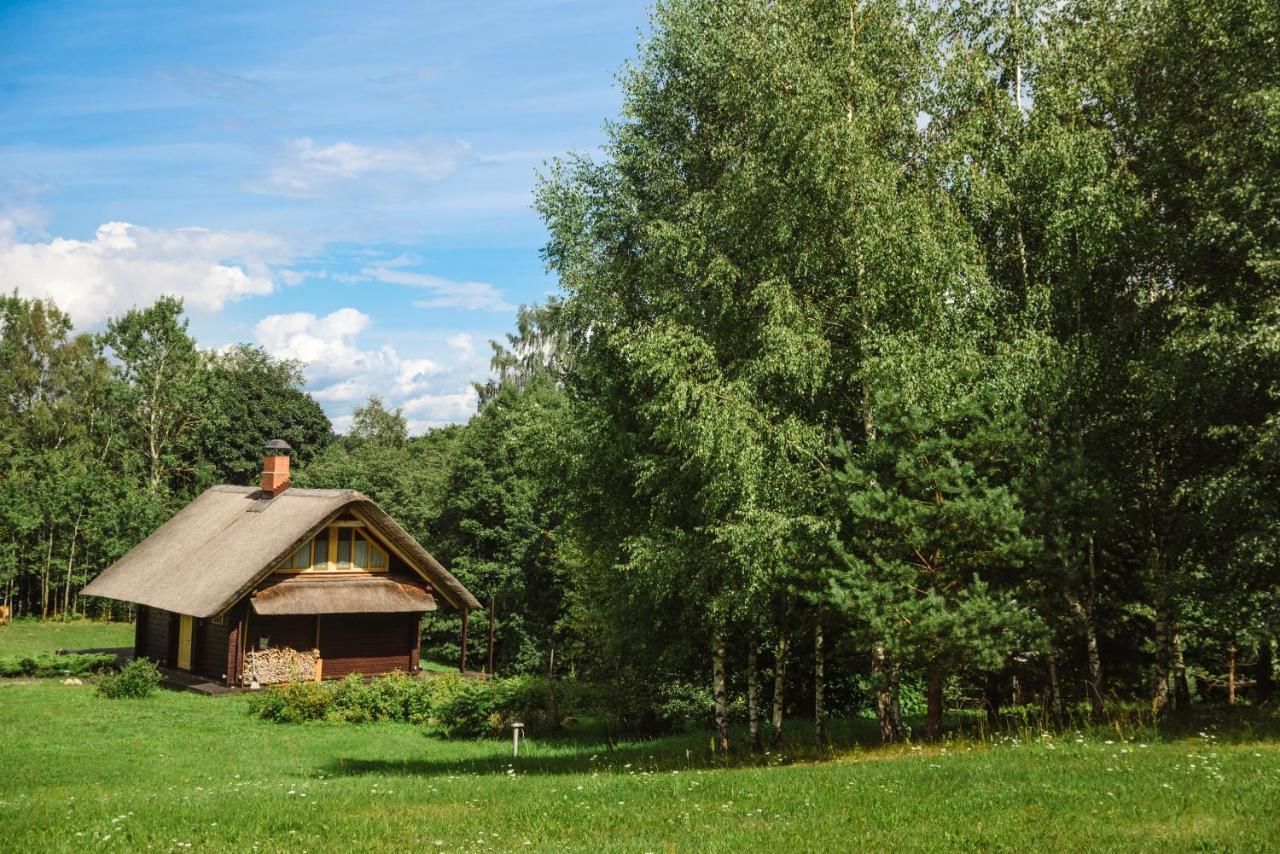 Загородные дома Country Holiday Home Loci Grāveri-12